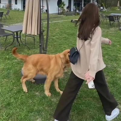 立食师列传